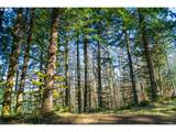  Phelps Mountain Ln - Photo 40