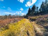  Phelps Mountain Ln - Photo 42