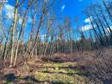  Phelps Mountain Ln - Photo 43