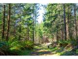 Phelps Mountain Ln - Photo 44