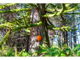  Phelps Mountain Ln - Photo 45