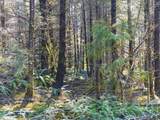  Phelps Mountain Ln - Photo 46