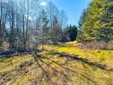  Phelps Mountain Ln - Photo 47