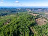  Phelps Mountain Ln - Photo 5