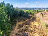  Phelps Mountain Ln - Photo 6
