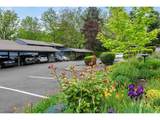 23931 Treehill Dr - Photo 2