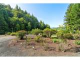 94344 Highway 42 - Photo 31