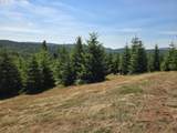 28818 Gowdyville Rd - Photo 17