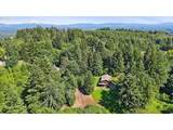 11900 Zion Hill Dr - Photo 37