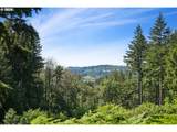 11900 Zion Hill Dr - Photo 38