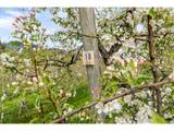 934 Highway 141 - Photo 4