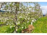 934 Highway 141 - Photo 48