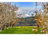 934 Highway 141 - Photo 7