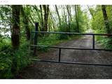 0 Buncombe Hollow Rd - Photo 1