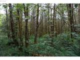 0 Buncombe Hollow Rd - Photo 2