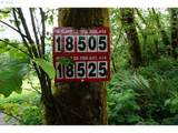 0 Buncombe Hollow Rd - Photo 3