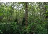 0 Buncombe Hollow Rd - Photo 5
