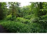 0 Buncombe Hollow Rd - Photo 6