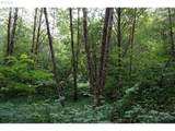 0 Buncombe Hollow Rd - Photo 7