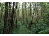 0 Buncombe Hollow Rd - Photo 8