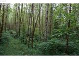 0 Buncombe Hollow Rd - Photo 9