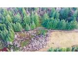 16266 Forsythe Rd - Photo 6