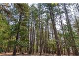 62 Meacham Rd - Photo 26