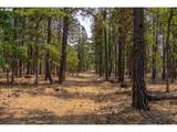 62 Meacham Rd - Photo 29