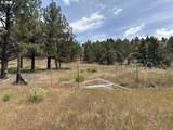  Wiley Creek Road - Photo 11