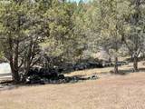  Wiley Creek Road - Photo 13