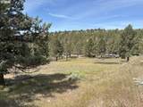  Wiley Creek Road - Photo 6