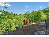 2727 Avocet Ln - Photo 47