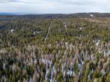 77667 Jack Pine Ln - Photo 7