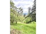 213 Trailside Loop - Photo 19