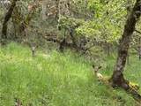 213 Trailside Loop - Photo 28