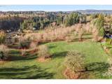  Livesay Rd - Photo 9