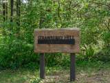 27701 Strawberry Hill Dr - Photo 2