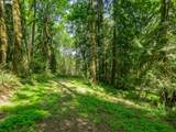 27701 Strawberry Hill Dr - Photo 3
