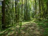 27701 Strawberry Hill Dr - Photo 41