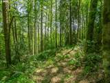 27701 Strawberry Hill Dr - Photo 43