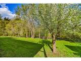 59990 Isabella Ln - Photo 39