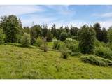 69885 Beaver Hill Dr - Photo 29