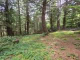 42101 Old Mill Rd - Photo 29