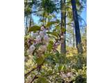 000 Robinhood Ave - Photo 13