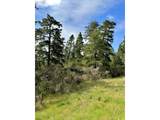 000 Robinhood Ave - Photo 16