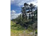000 Robinhood Ave - Photo 17