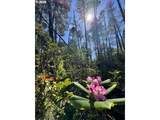 000 Robinhood Ave - Photo 18