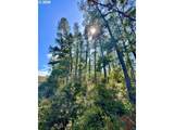 000 Robinhood Ave - Photo 21