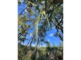 000 Robinhood Ave - Photo 22