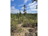 000 Robinhood Ave - Photo 28